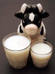 Zamienniki w diecie (cz.1) - mleko