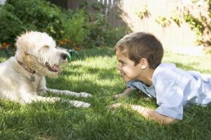 Alergik z psem - mity i fakty