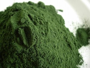 Spirulina na alergię