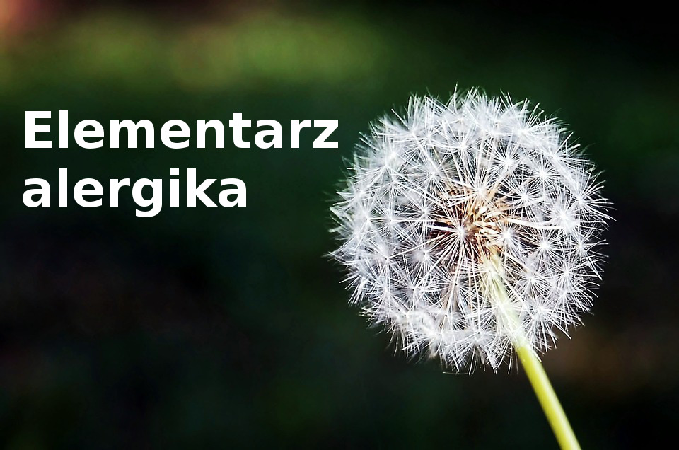 elementarz alergika