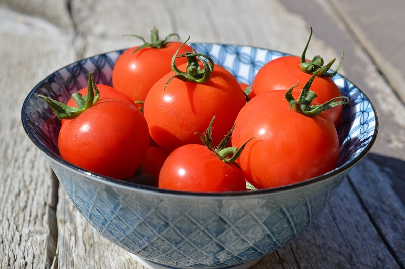 alergia na pomidory