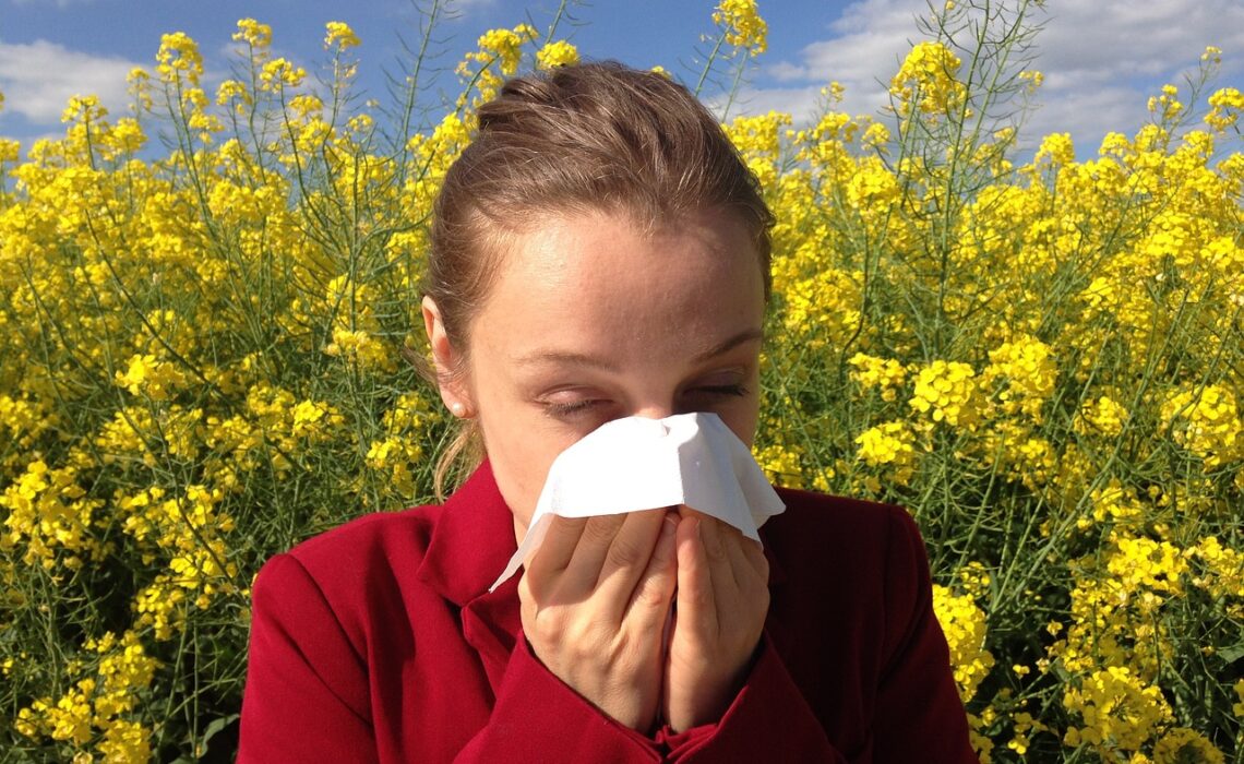 alergia pozbądź się roztoczy