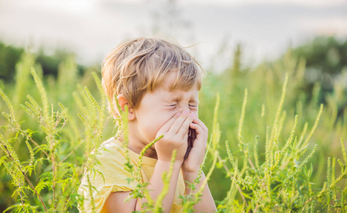 Skutki nieleczonej alergii - efekty przerwania odczulania